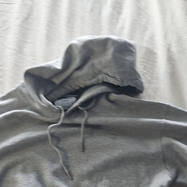 Vintage Champion Reverse Weave Hoodie in Heather Grey