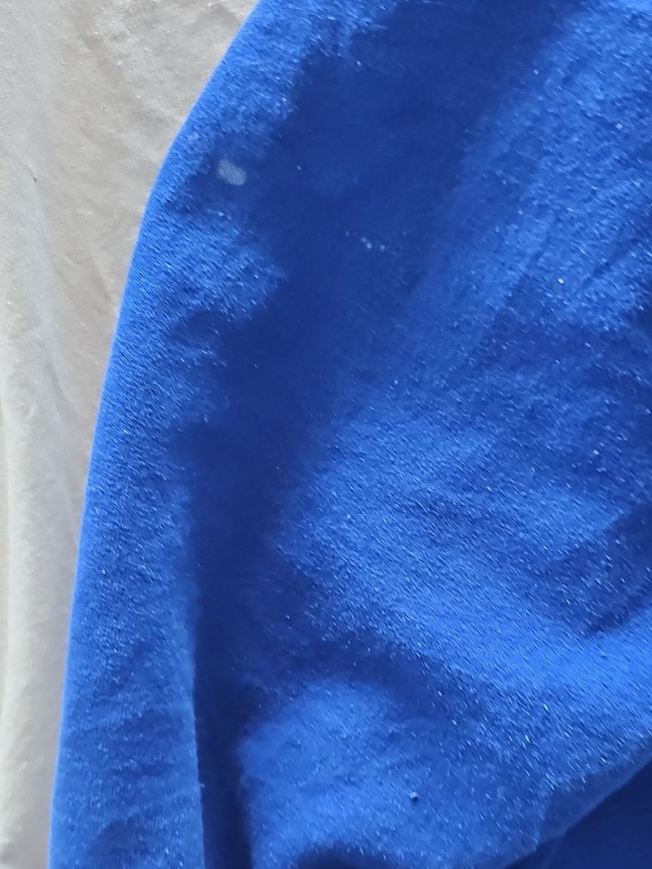 Champion Authentic Athleticwear Cobalt Blue Script Hoodie - Men's 2XL - Image 4