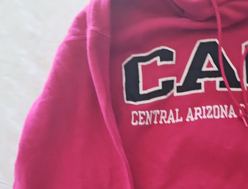 Champion Central Arizona College Hoodie Magenta Medium 285 - Image 6