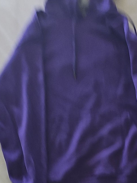 Champion Authentic Athleticwear Purple Pullover Hoodie size us m 274
