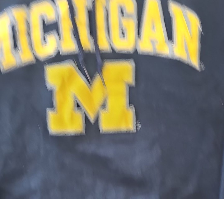 Vintage Champion Michigan Wolverines Navy Hoodie size us m 275 - Image 4