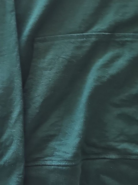 Vintage-Style Champion Authentic Athleticwear Forest Green Hoodie size us m 276 - Image 7