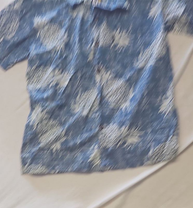 Palmwave Hawaii Men’s Blue Pineapple Print Cotton Hawaiian Shirt – Size XL