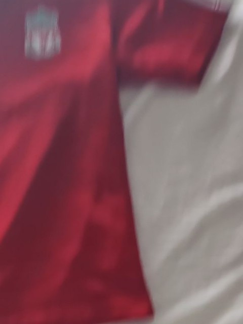 Vintage Adidas Liverpool FC Polo Shirt Carlsberg Sponsor - Image 3