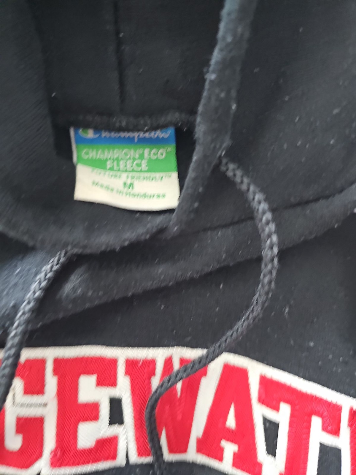 Champion Bridgewater State University Eco Fleece Hoodie Black Medium - Image 8