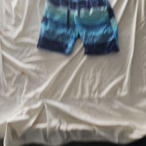 Men's Blue Gradient Striped Swim Shorts