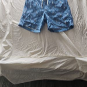 Aéropostale Men's Blue Graphic Print Swim Shorts