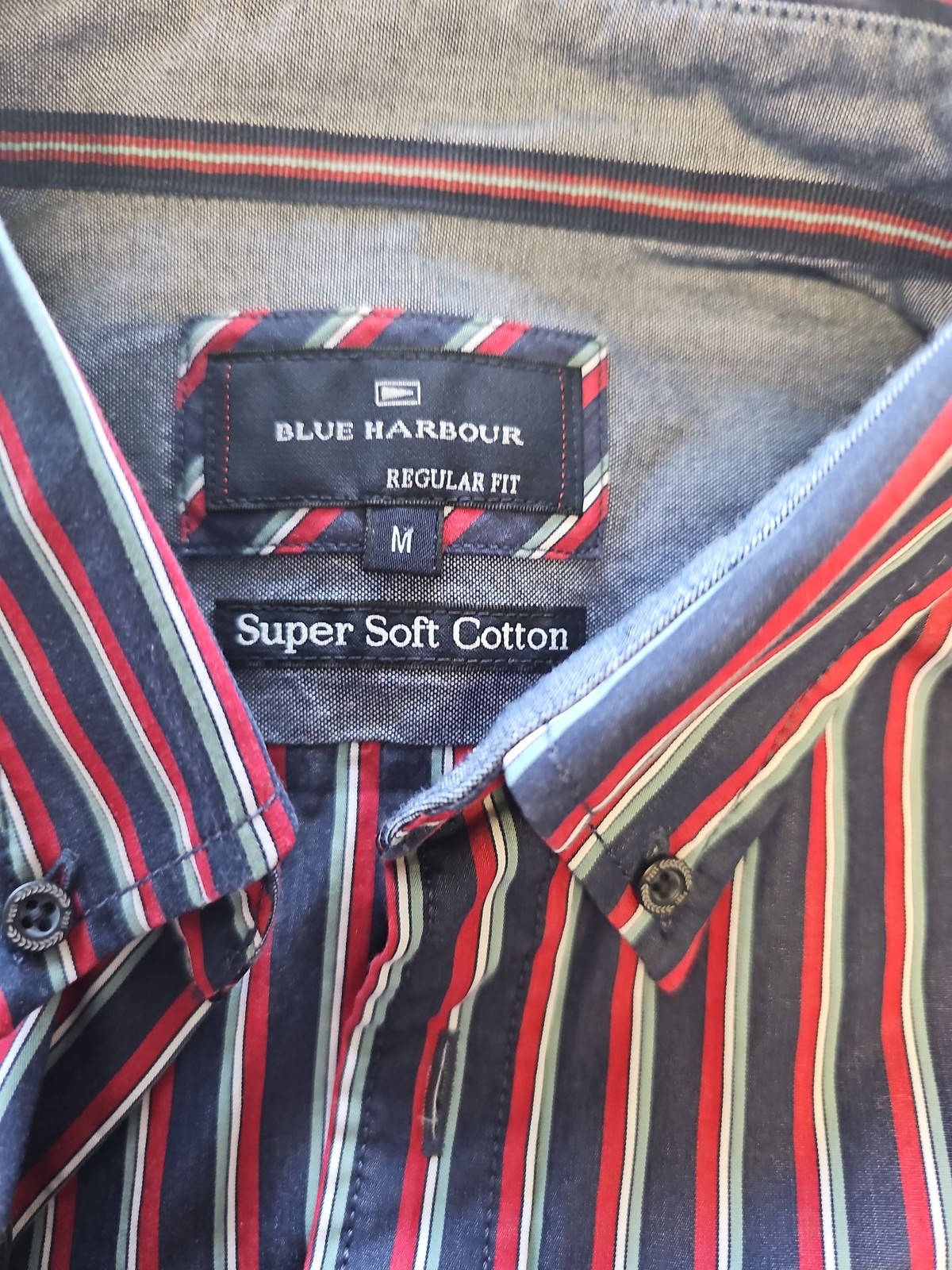 Blue Harbour Men’s Multi-Color Striped Regular Fit Cotton Shirt M M698