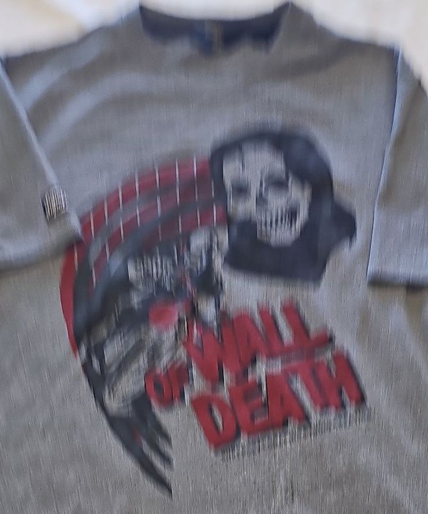 Superdry Wall of Death Skull Graphic T-Shirt Grey Marl AA922 - Image 7